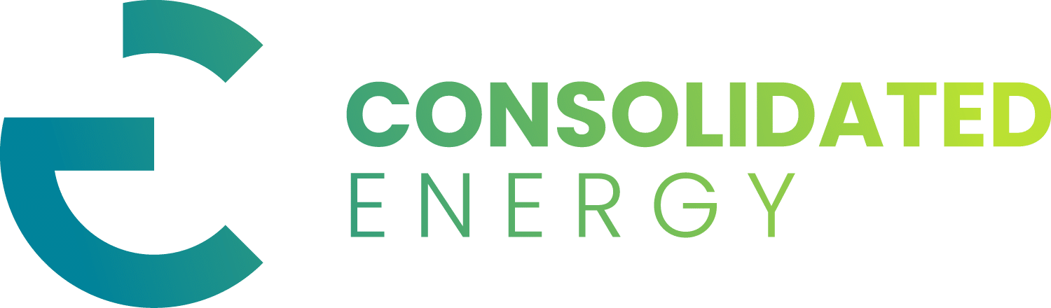 CE Logo Landscape Colour